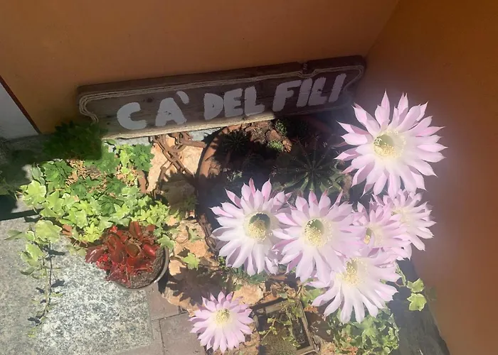 Ca Del Fili